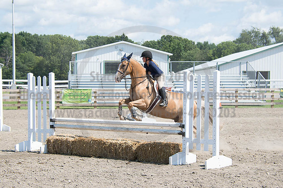 2016DCF_08262016_SCL_0686