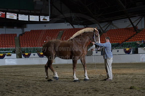 NABC8_10152016_SCL_1834