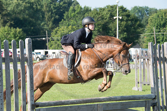 2016DCF_08262016_SCL_0149