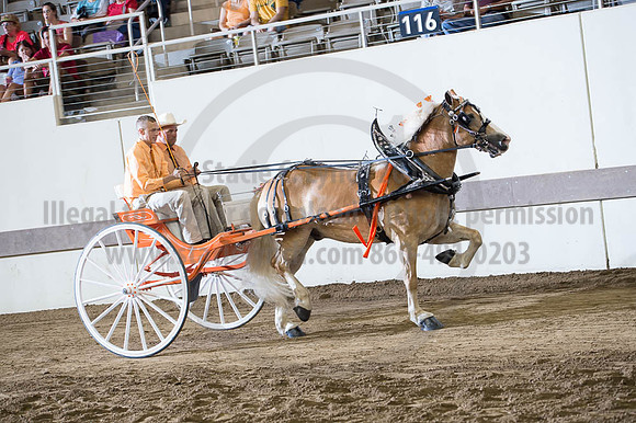 ISF_08182016_SCL_3514