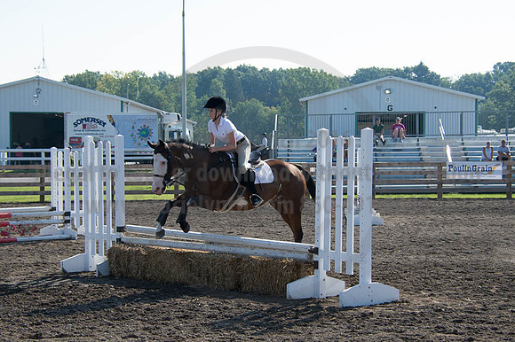 2016DCF_08262016_SCL_0197