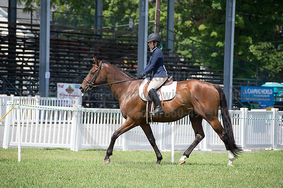 2016DCF_08262016_SCL_0470