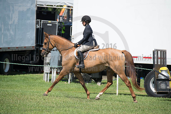 2016DCF_08262016_SCL_0471
