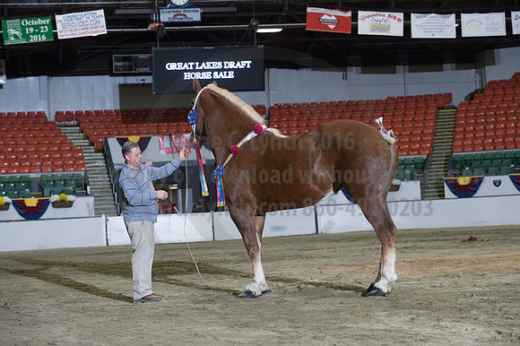 NABC8_10152016_SCL_1820