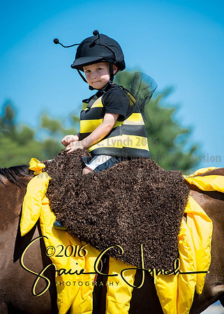2016DCF_08272016_SCL_1266
