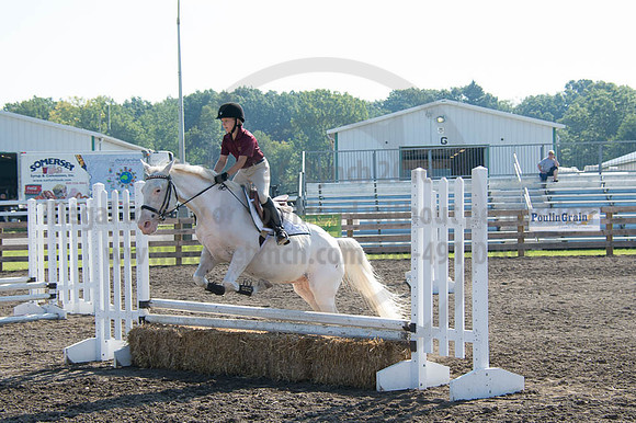 2016DCF_08262016_SCL_0220
