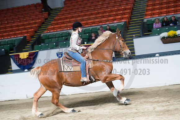 NABC8_10142016_SCL_8349