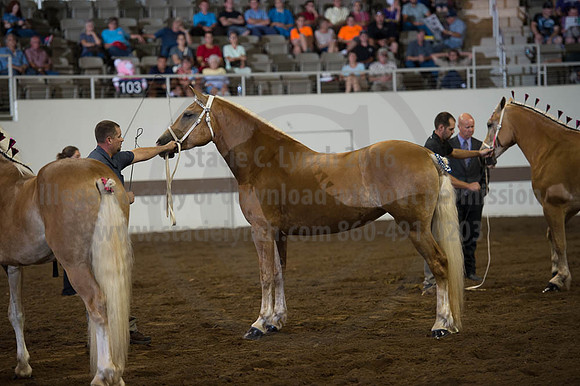ISF_08192016_SCL_5766