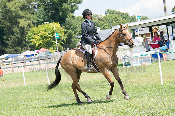 2016DCF_08262016_SCL_0495