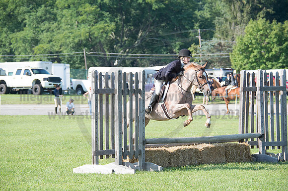 2016DCF_08262016_SCL_0169