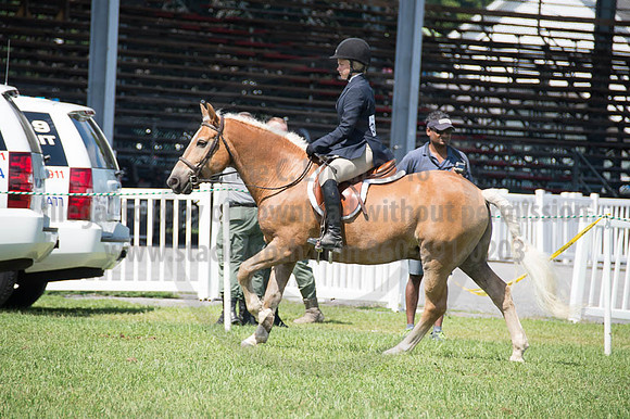 2016DCF_08262016_SCL_0480