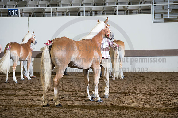 ISF_08192016_SCL_4303