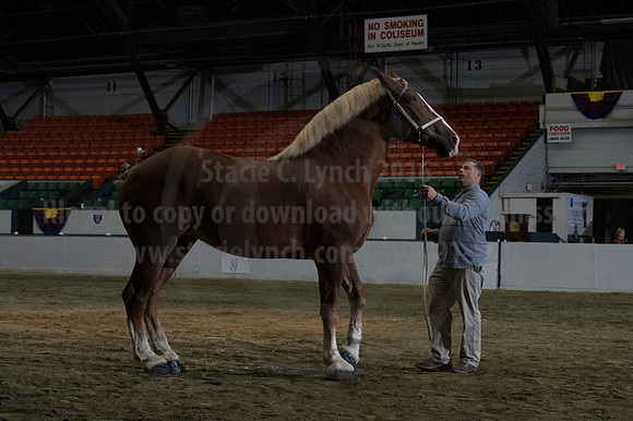 NABC8_10152016_SCL_1840