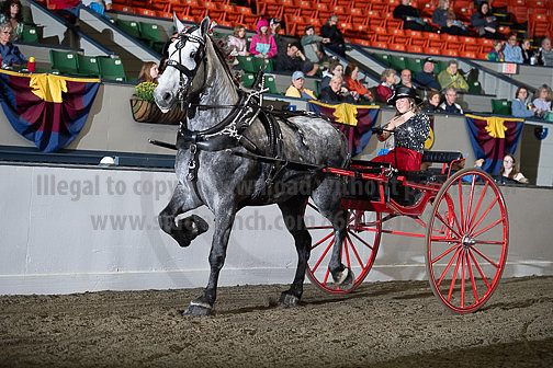 BigE_09262024_SCL0394