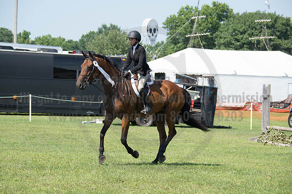 2016DCF_08262016_SCL_0759