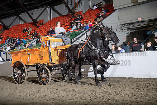 BigE_09262024_SCL0504