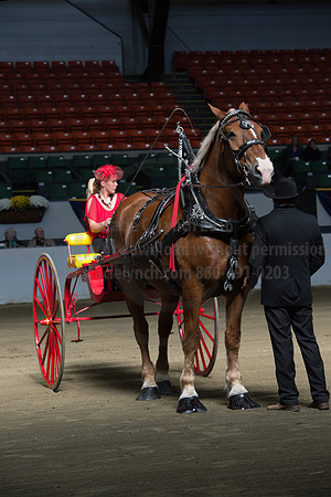 NABC8_10152016_SCL_0408