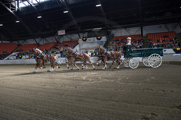 NABC8_10142016_SCL_8537