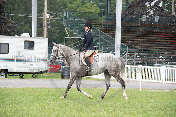 2016DCF_08262016_SCL_0386