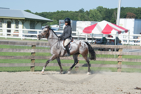 2016DCF_08242016_SCL_9418