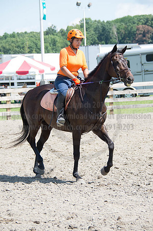 2016DCF_08262016_SCL_0507