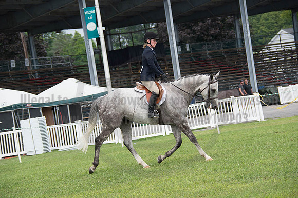 2016DCF_08262016_SCL_0398