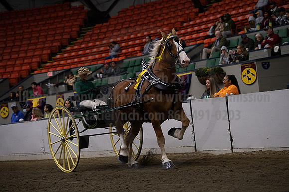 BigE_20221002-SCL_4458