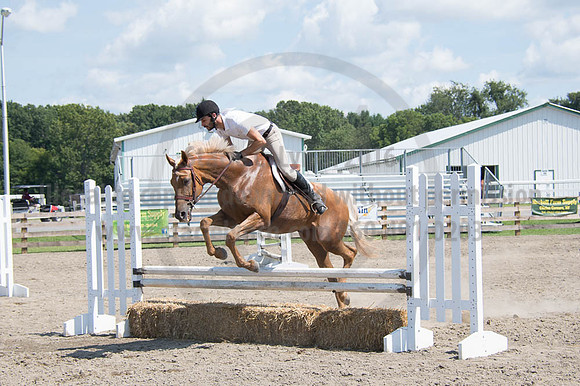 2016DCF_08262016_SCL_0695