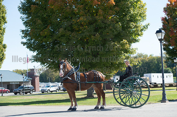 NABC8_10152016_SCL_0560