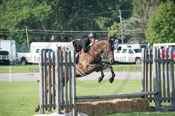 2016DCF_08262016_SCL_0117