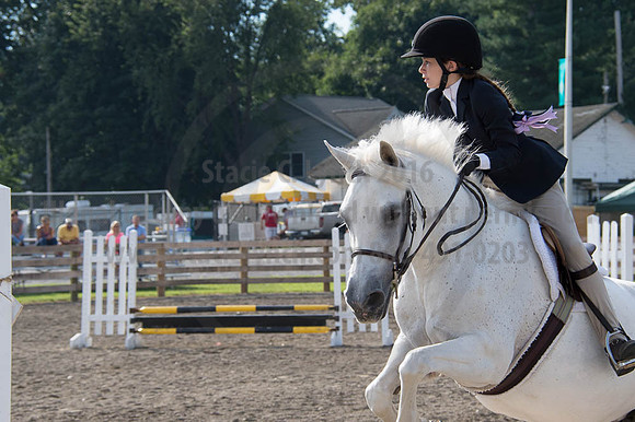 2016DCF_08252016_SCL_9615