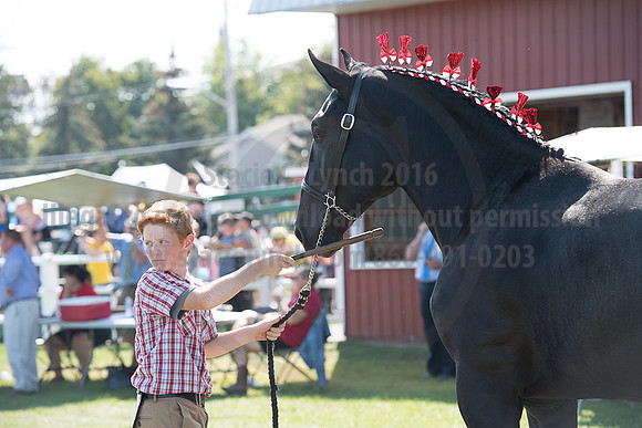Carp_09222017_SCL_3336