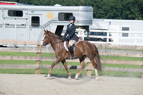 2016DCF_08242016_SCL_9417
