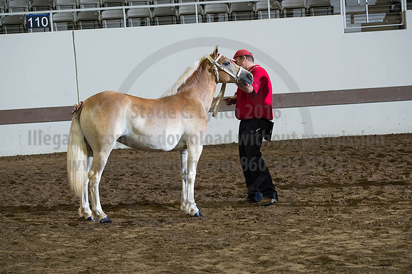 ISF_08192016_SCL_4457