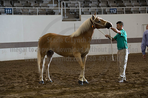 ISF_08192016_SCL_4242