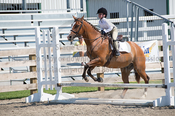 2016DCF_08242016_SCL_9235