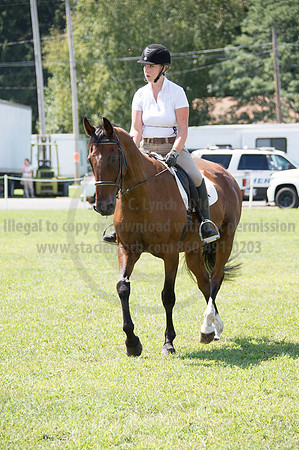 2016DCF_08262016_SCL_0648