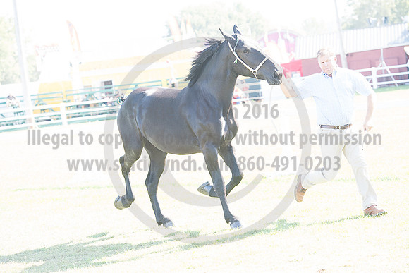 Carp_09222017_SCL_2785