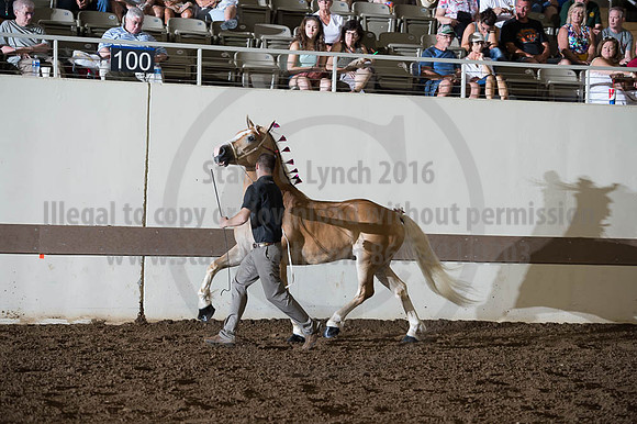 ISF_08192016_SCL_5756
