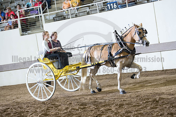 ISF_08182016_SCL_3516