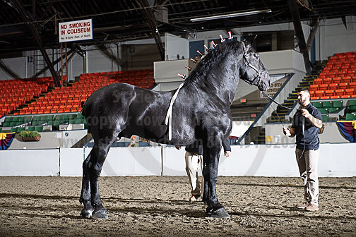 BigE_09262024-0115