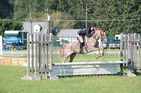 2016DCF_08262016_SCL_0167