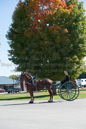 NABC8_10152016_SCL_0562