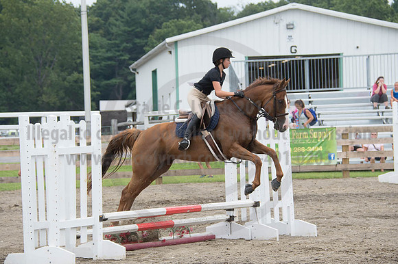 2016DCF_08252016_SCL_0011