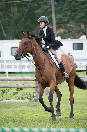 2016DCF_08252016_SCL_0013