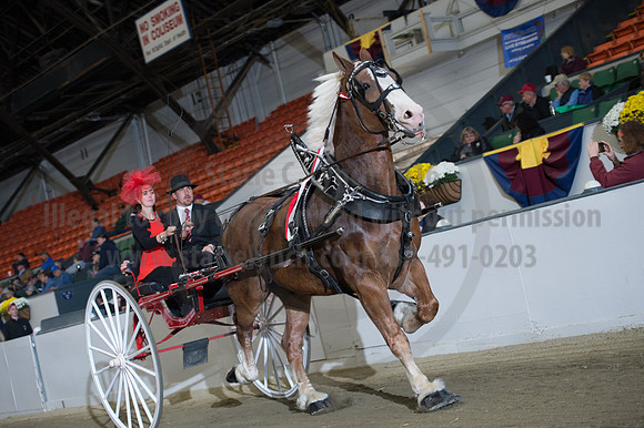 NABC8_10152016_SCL_0403