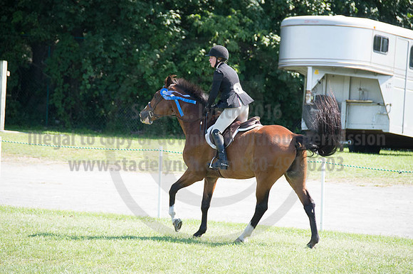 2016DCF_08262016_SCL_0743