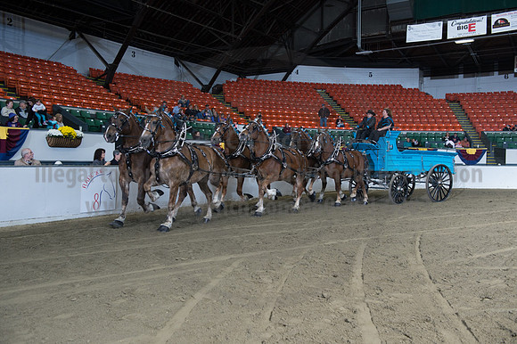 NABC8_10142016_SCL_8621