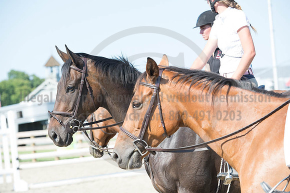 2016DCF_08262016_SCL_0808