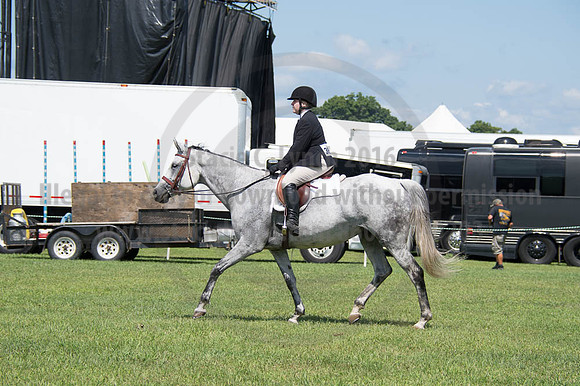 2016DCF_08262016_SCL_0463